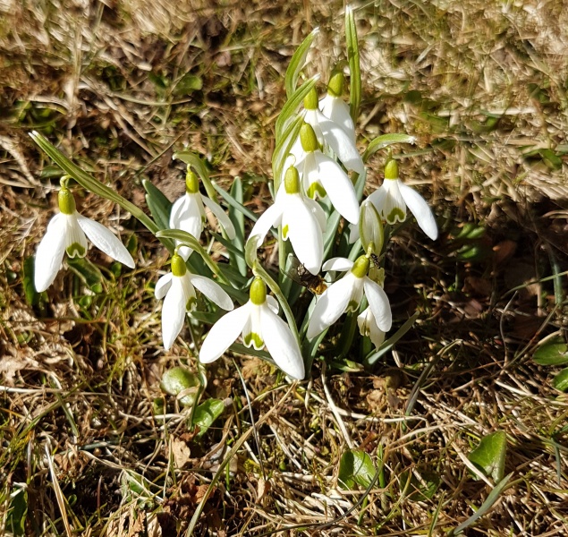 Datei:20180313 104812 cc.jpg