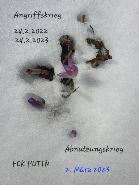 Datei:20230302 134037.jpg