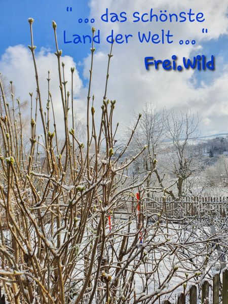 Datei:20210305 100716.jpg