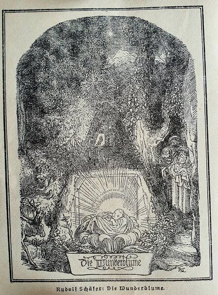 Datei:Weihnachten2020 - Die Wunderblume.jpg