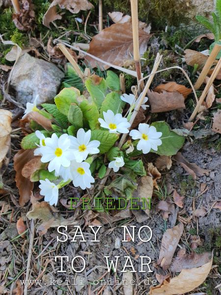 Datei:20220323 142915.jpg