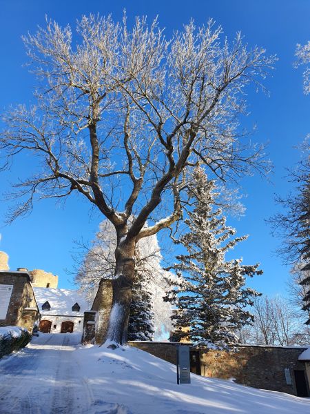 Datei:20221213 100734.jpg