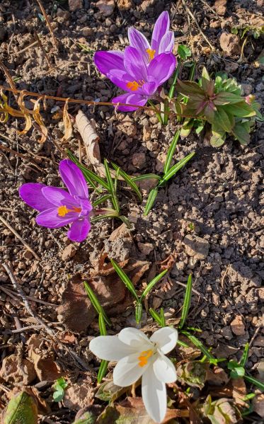 Datei:20220323 143313.jpg