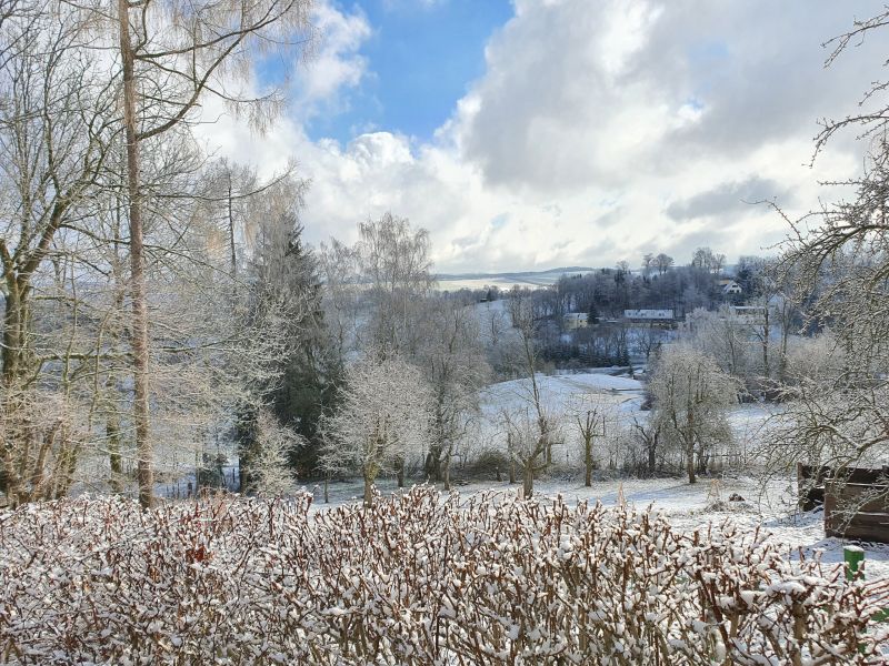 Datei:20210305 101309.jpg