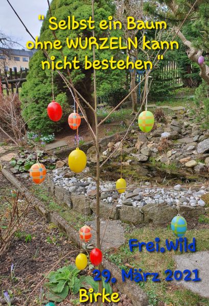 Datei:20210329 104734.jpg