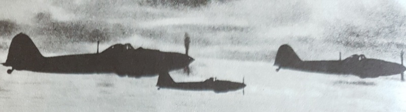 Datei:Il-2 Schlachtflugzeug.jpg