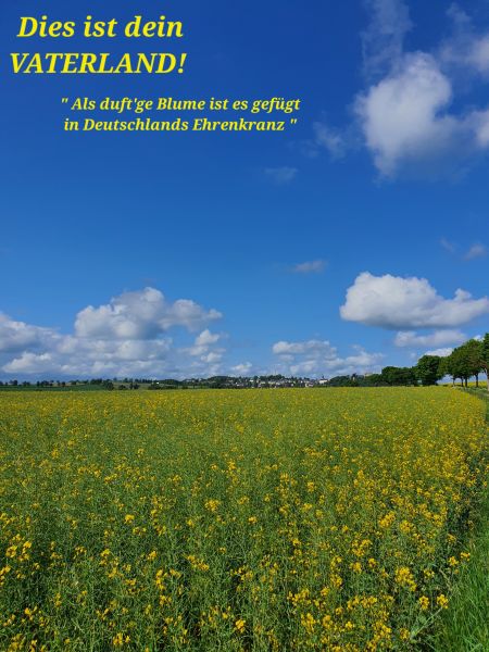 Datei:20220529 100646.jpg