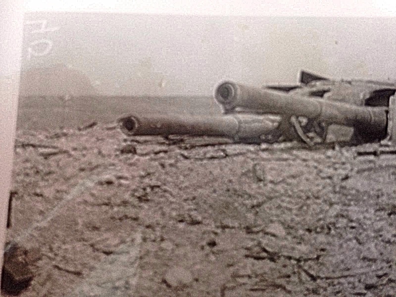 Datei:Geschütztürme Kuppeln s.jpg