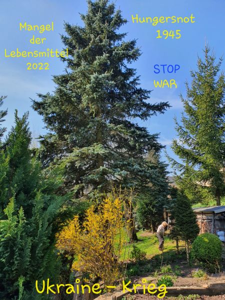 Datei:20220501 095702.jpg