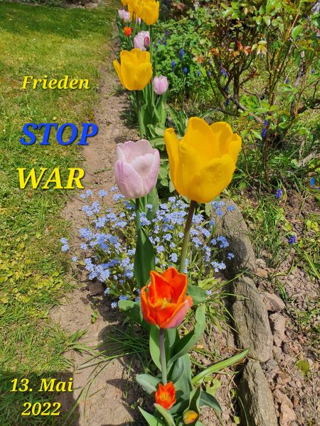 Datei:20220513 123314.jpg