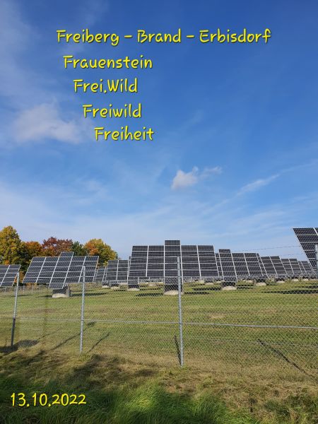 Datei:20221013 110532.jpg