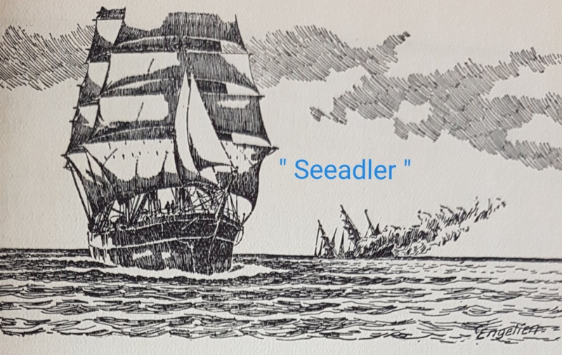 Datei:RunningWild - Seeadler.jpg