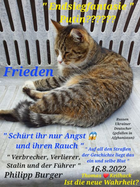 Datei:20220816 162824.jpg