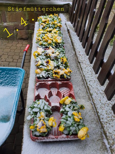 Datei:20220401 095340.jpg