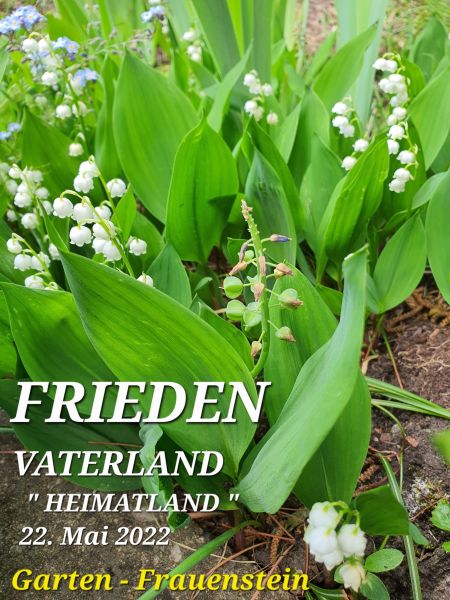 Datei:20220522 101558.jpg