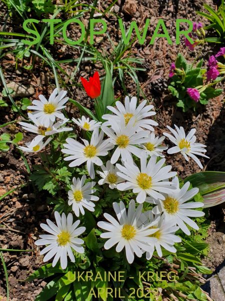 Datei:20220423 143526.jpg