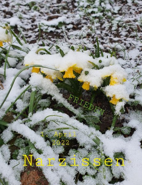 Datei:20220401 095426.jpg