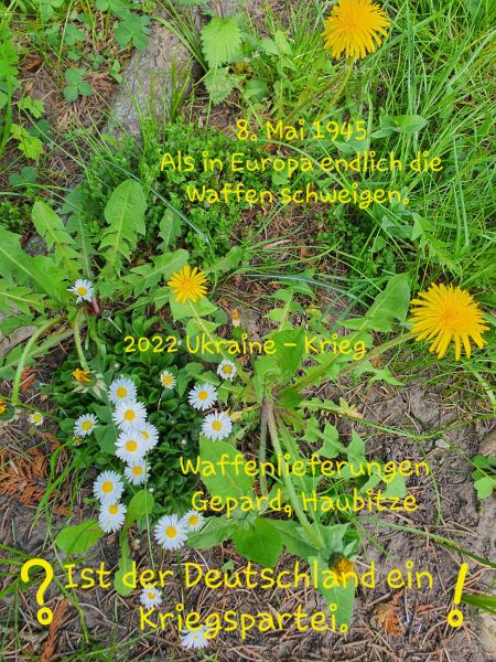 Datei:20220507 144413.jpg