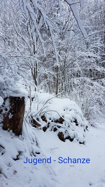 Datei:20230719 114827.jpg