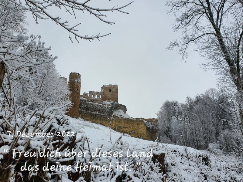 Datei:20221207 102755.jpg