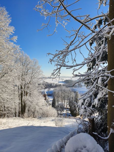 Datei:20220212 084955.jpg