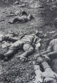 DeutschesKreuzinGold - .... Protokolle vom Kämpfen, Töten und Sterben ... - Sowjets....jpg
