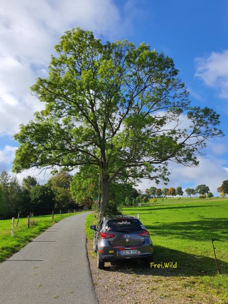 Datei:20221002 100843.jpg