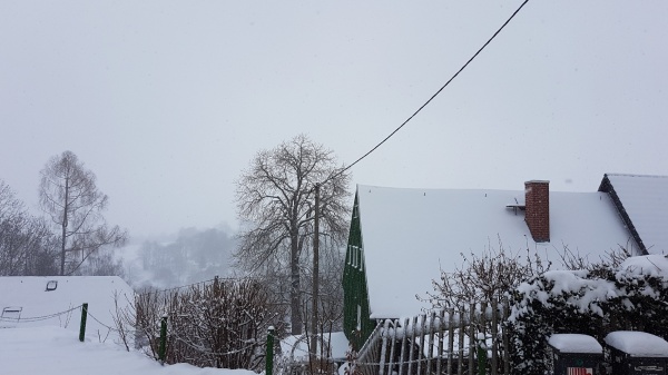 Januar 2019 - Schnee2.jpg