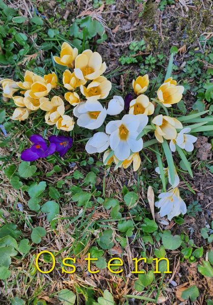 Datei:20220323 143043.jpg