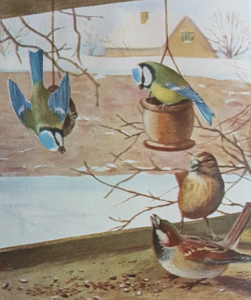 Datei:Für Spatzen ist das nichts.jpg