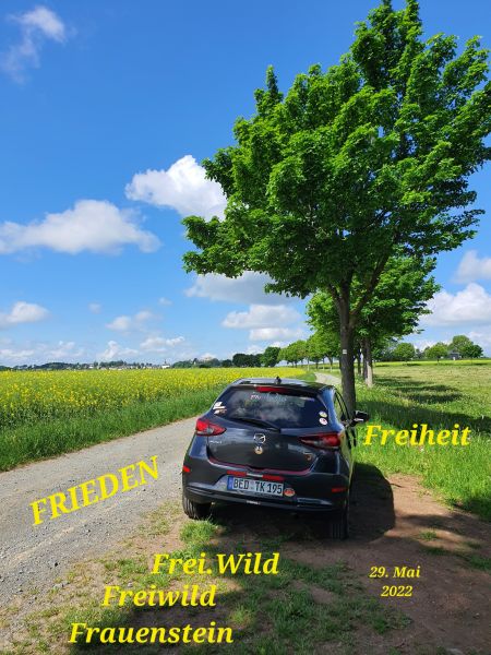 Datei:20220529 101224.jpg