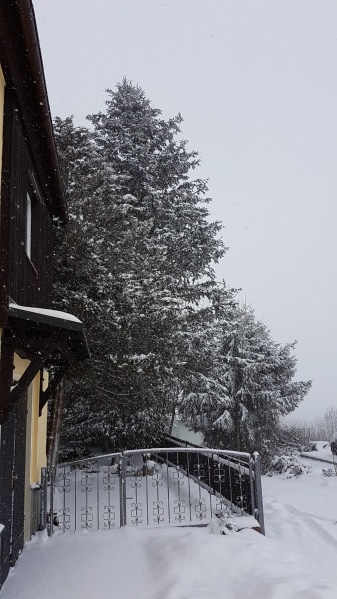Januar 2019 - Schnee.jpg