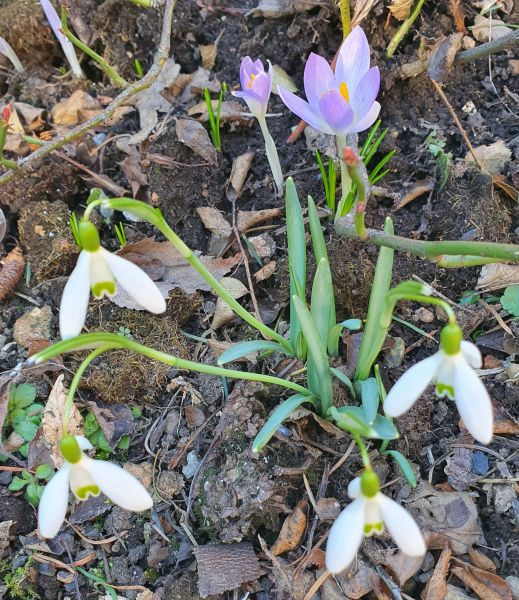 Datei:20210302 144054.jpg