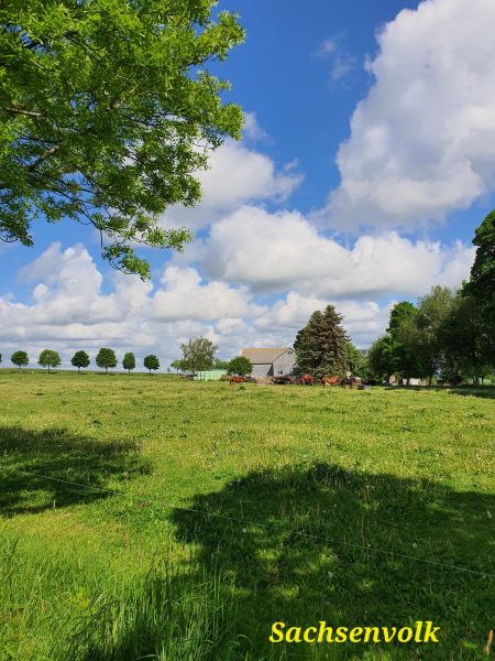 Datei:20220529 100600.jpg