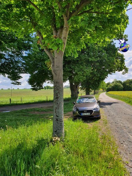 Datei:20220529 100738.jpg