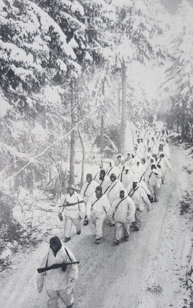 Datei:Sowjetische Offensive gegen Hitler 1941.jpg