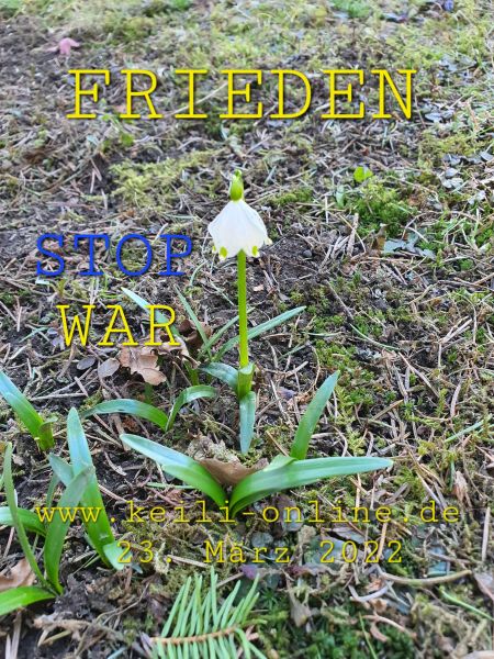 Datei:20220323 113636.jpg