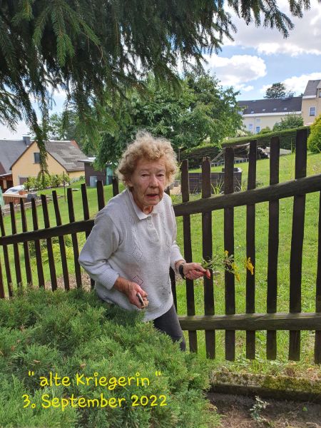 Datei:20220903 141412.jpg