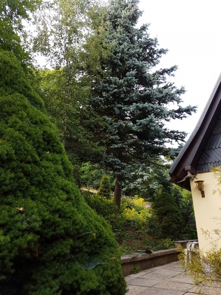 Datei:Gartenhaus - Heimat - Frauenstein.jpg