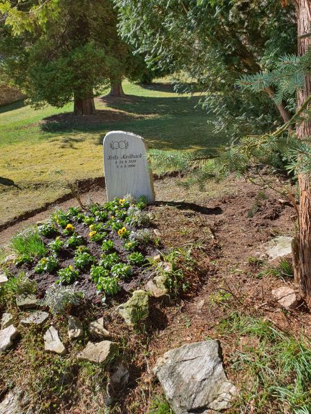 Datei:20210330 141951.jpg