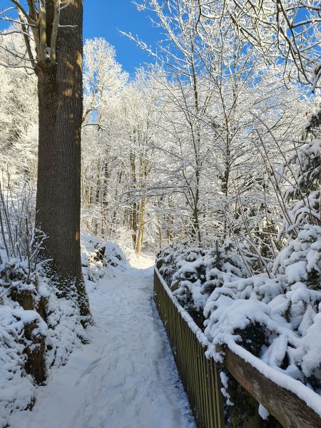 Datei:20220212 084849.jpg