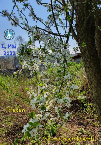 Datei:20220501 110459.jpg