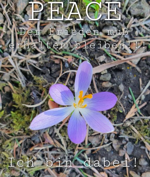 Datei:20220323 142943.jpg