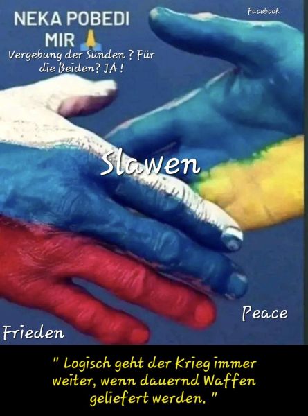 Datei:Screenshot 20230310 190129 Facebook.jpg