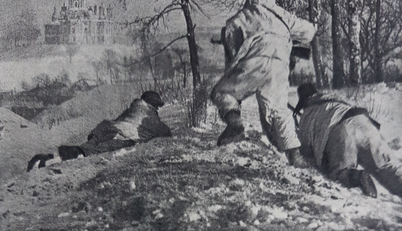 Datei:Befreiung 20.1.1942 - Rote Armee.jpg