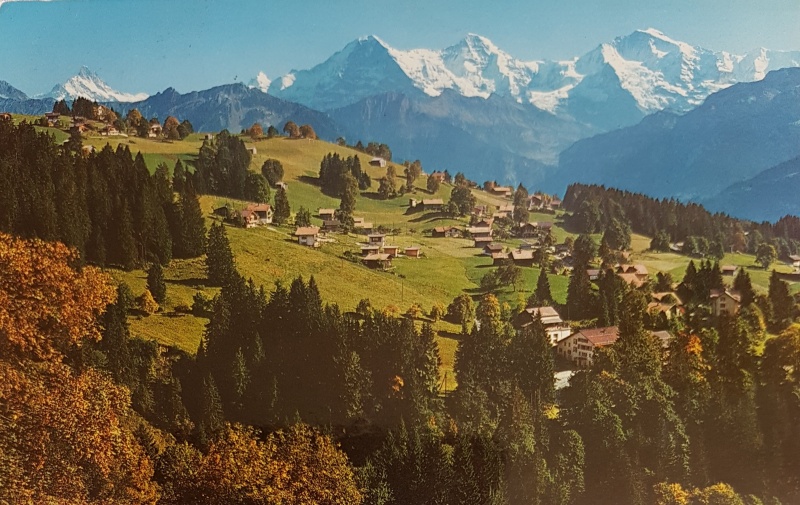 Datei:20180319 133741 cc.jpg