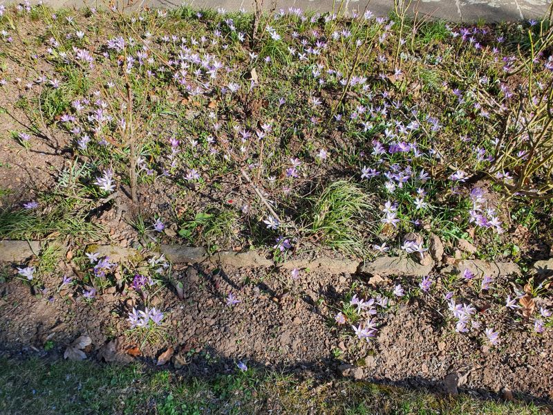 Datei:20220323 143114.jpg