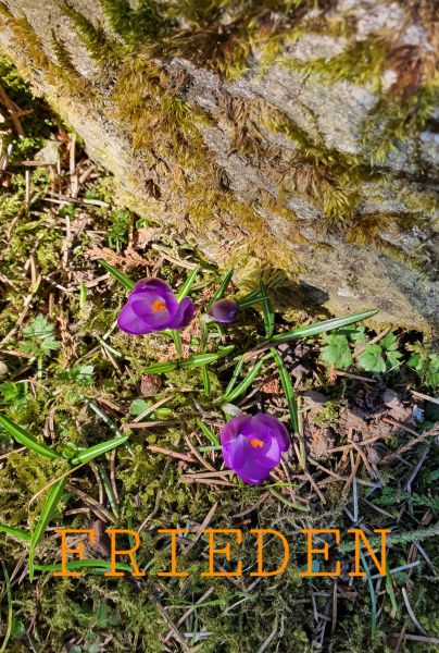 Datei:20220327 112658.jpg