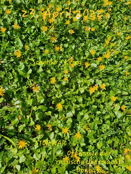 Datei:20220423 143914.jpg