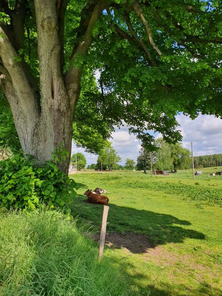 Datei:20220529 100849.jpg